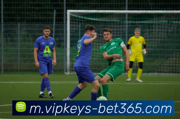 bet365平台生态图